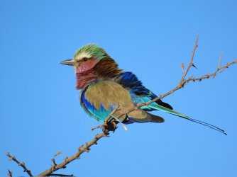 IMG_6449.jpeg IMG_6449.jpeg