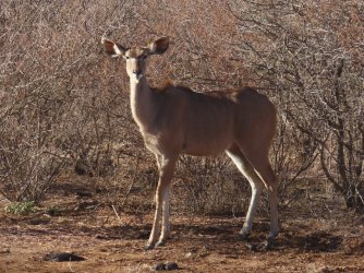 IMG_6451.jpeg IMG_6451.jpeg