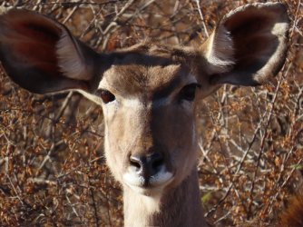 IMG_6452.jpeg IMG_6452.jpeg