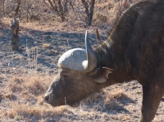 IMG_6467.jpeg IMG_6467.jpeg