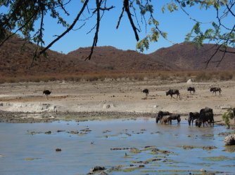 IMG_6498.jpeg IMG_6498.jpeg