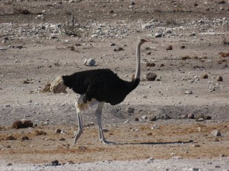 IMG_6497.jpeg IMG_6497.jpeg