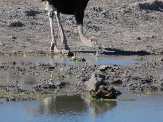 IMG_6505.jpeg IMG_6505.jpeg