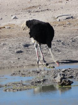 IMG_6508.jpeg IMG_6508.jpeg