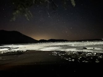 IMG_3502.jpeg IMG_3502.jpeg