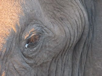 IMG_6389.jpeg IMG_6389.jpeg