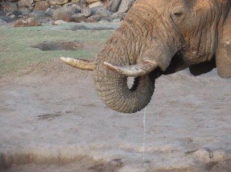 IMG_6390.jpeg IMG_6390.jpeg