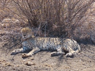 IMG_6518.jpeg IMG_6518.jpeg