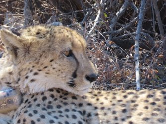 IMG_6520.jpeg IMG_6520.jpeg