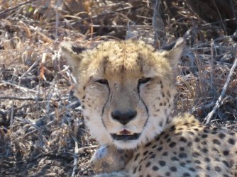 IMG_6524.jpeg IMG_6524.jpeg