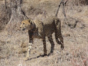 IMG_6527.jpeg IMG_6527.jpeg