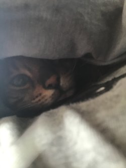 IMG_0566.jpeg IMG_0566.jpeg