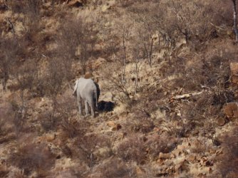 IMG_6485.jpeg IMG_6485.jpeg