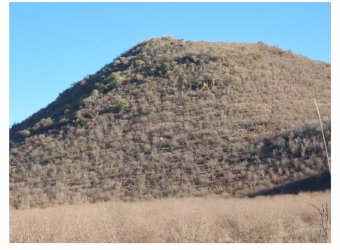 IMG_3870.jpeg IMG_3870.jpeg