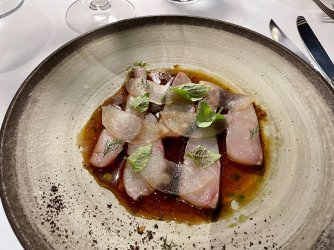 IMG_5874.jpeg IMG_5874.jpeg