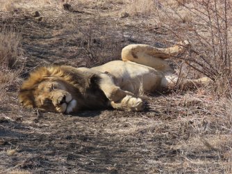 IMG_6220.jpeg IMG_6220.jpeg