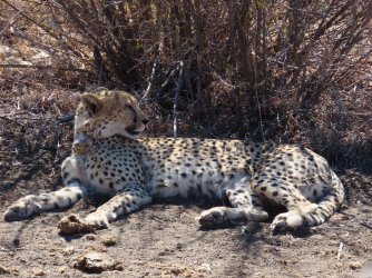 IMG_6522.jpeg IMG_6522.jpeg