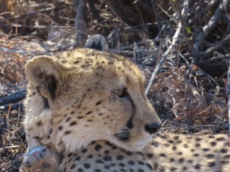 IMG_6521.jpeg IMG_6521.jpeg