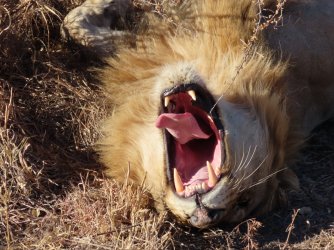 IMG_6662.jpeg IMG_6662.jpeg