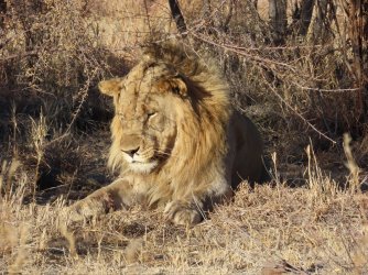 IMG_6672.jpeg IMG_6672.jpeg