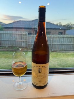 IMG_1907.jpeg IMG_1907.jpeg