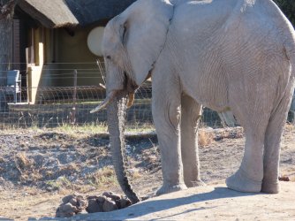 IMG_6642.jpeg IMG_6642.jpeg