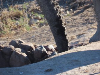 IMG_6644.jpeg IMG_6644.jpeg