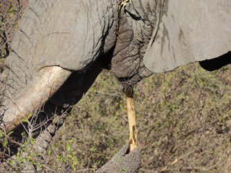 IMG_6648.jpeg IMG_6648.jpeg