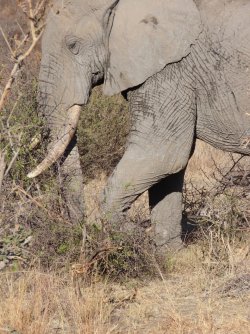 IMG_6650.jpeg IMG_6650.jpeg