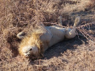 IMG_6658.jpeg IMG_6658.jpeg