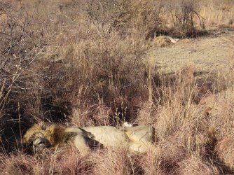 IMG_6670.jpeg IMG_6670.jpeg