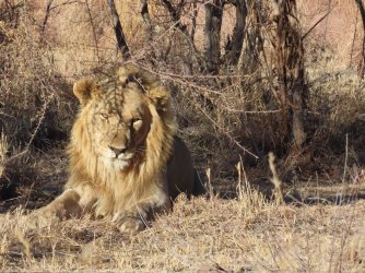 IMG_6673.jpeg IMG_6673.jpeg