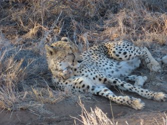 IMG_6685.jpeg IMG_6685.jpeg