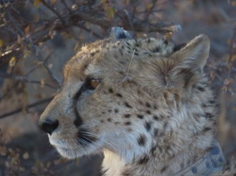 IMG_6682.jpeg IMG_6682.jpeg