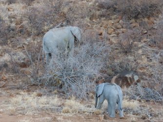 IMG_6691.jpeg IMG_6691.jpeg