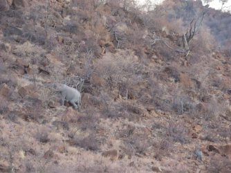 IMG_6706.jpeg IMG_6706.jpeg