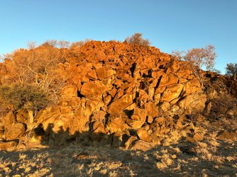 IMG_3691.jpeg IMG_3691.jpeg