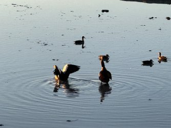 IMG_3809.jpeg IMG_3809.jpeg