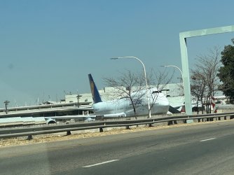 IMG_3832.jpeg IMG_3832.jpeg