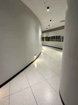 IMG_3836.jpeg IMG_3836.jpeg