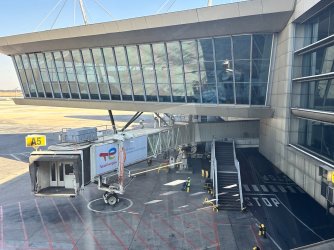 IMG_3859.jpeg IMG_3859.jpeg