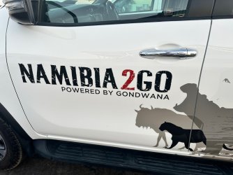 IMG_3893.jpeg IMG_3893.jpeg