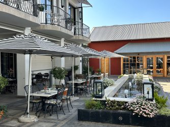 IMG_3988.jpeg IMG_3988.jpeg