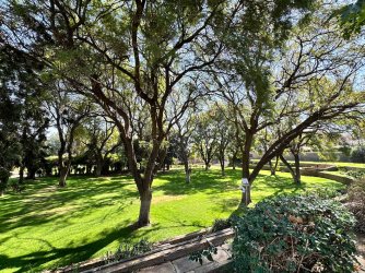 IMG_3939.jpeg IMG_3939.jpeg