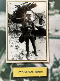 IMG_3967.jpeg IMG_3967.jpeg