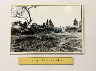 IMG_3962.jpeg IMG_3962.jpeg