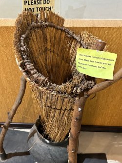 IMG_3969.jpeg IMG_3969.jpeg