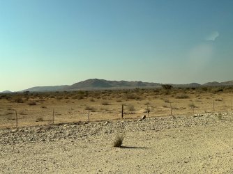 IMG_4017.jpeg IMG_4017.jpeg