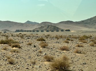 IMG_4037.jpeg IMG_4037.jpeg