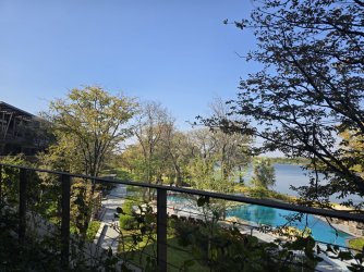 20240802_093743.jpg 20240802_093743.jpg